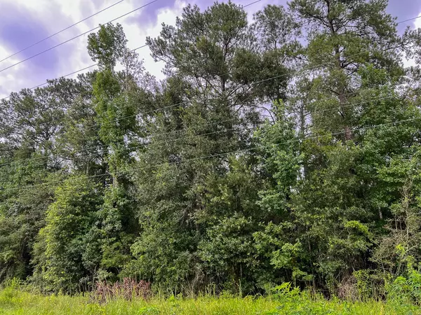 Raywood, TX 77575,2 FM 160