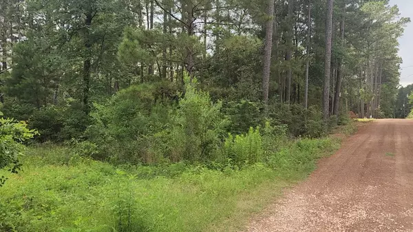 Lot 4 Smokethorn LN, Plantersville, TX 77363