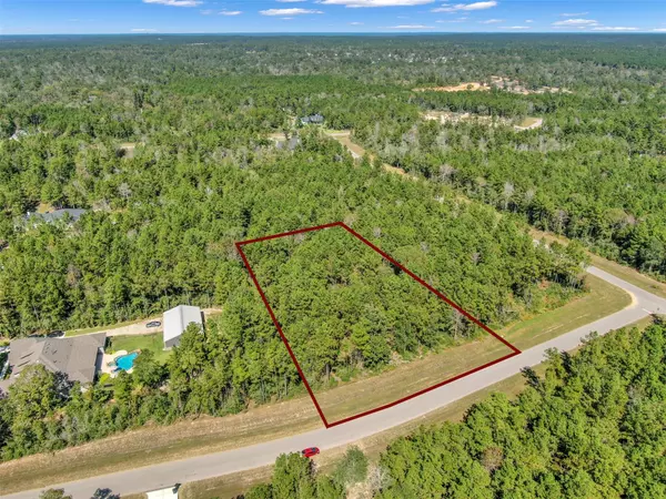 10515 Chapter DR, Willis, TX 77378