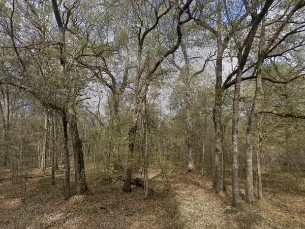 Coldspring, TX 77331,0 Smith ST