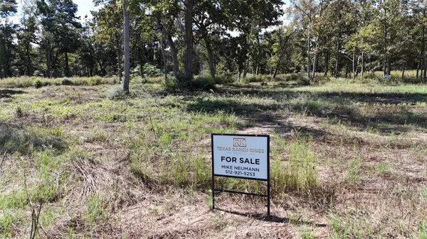 Centerville, TX 75833,Lot 110 Pr 1313