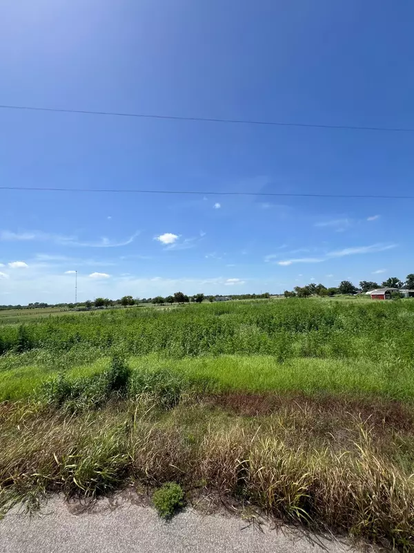 Boling, TX 77420,0 Junction ln