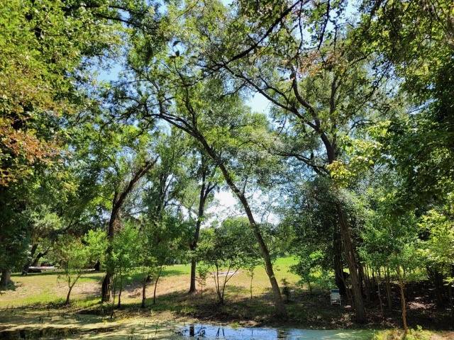 Chappell Hill, TX 77426,TBD Dairy Farm RD