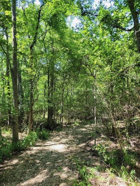 Chappell Hill, TX 77426,TBD Dairy Farm RD