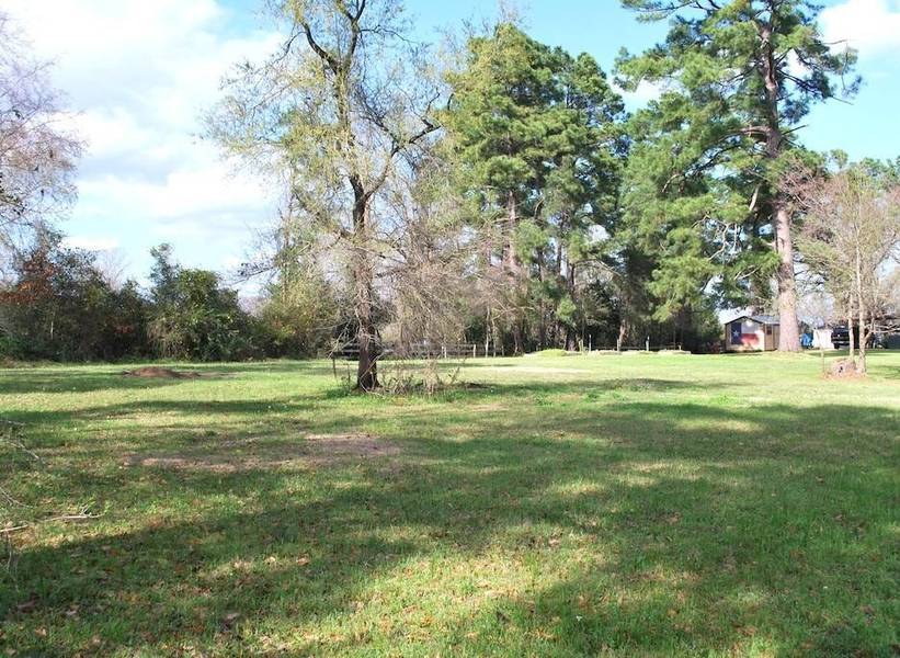 0 E Oakridge DR, Point Blank, TX 77364