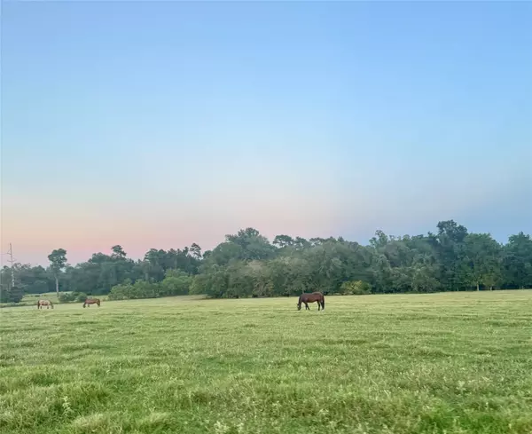 75 ACRES Spring Branch RD, Montgomery, TX 77316