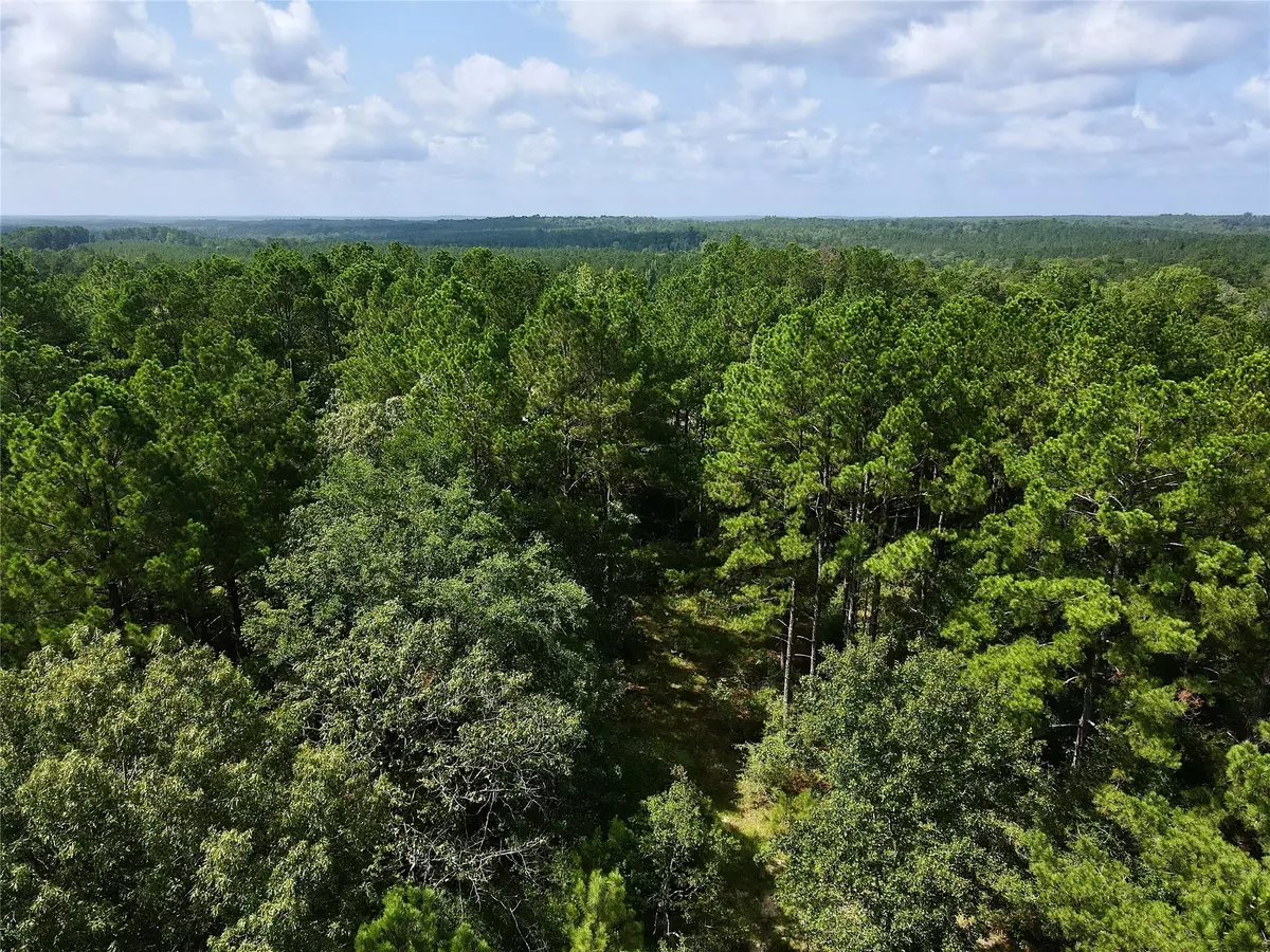 Colmesneil, TX 75938,TBD CR 3260 RD