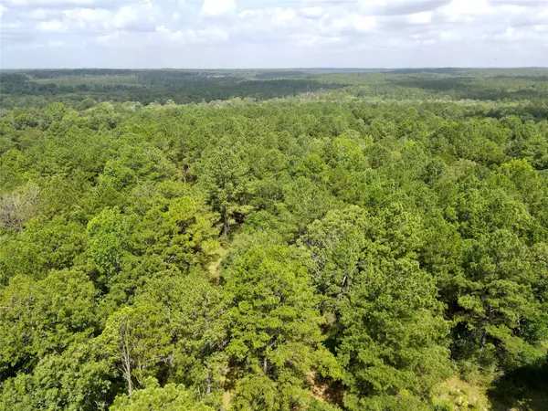 Colmesneil, TX 75938,TBD CR 3260 RD