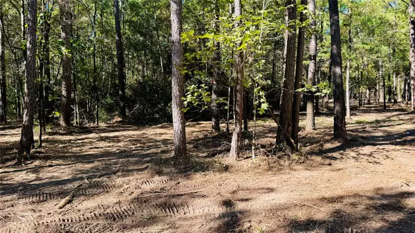 Lovelady, TX 75851,Lot 5 County Road 4025