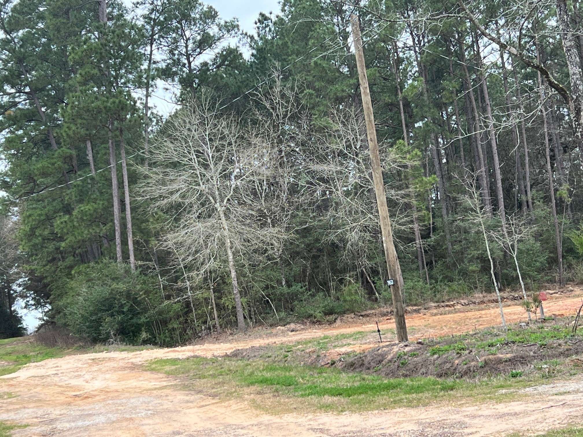 Plantersville, TX 77363,7841 Gum Tree LN