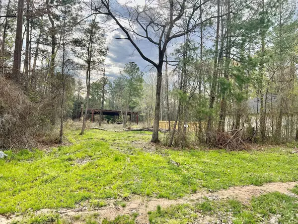 153 E Cattle DR, Onalaska, TX 77360