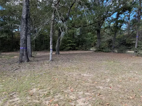 Brookeland, TX 75931,645 Deer Park DR