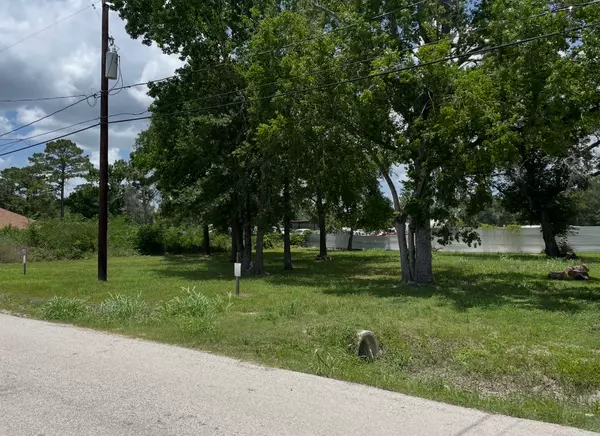 Houston, TX 77016,5203 Mayle ST