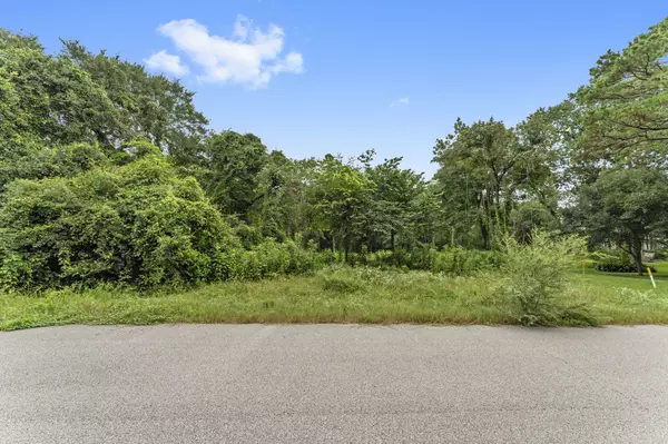 Hockley, TX 77447,20719 New Kentucky Village RD