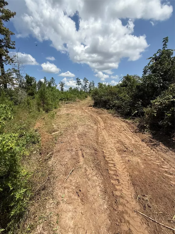 Votaw, TX 77376,TBD Sumrall rd RD