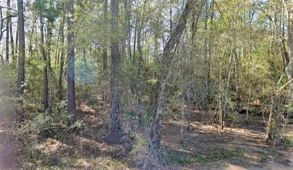 Navasota, TX 77868,TBD S Hill RD