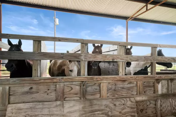 Cat Spring, TX 78933,2590 FM 949