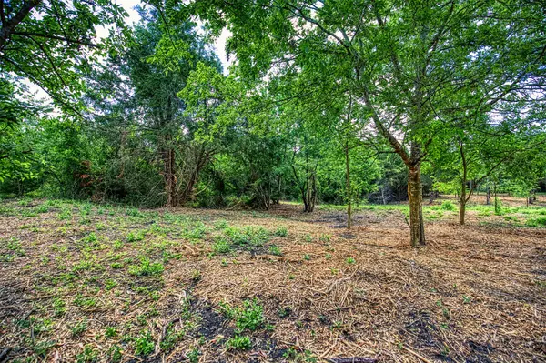 Chappell Hill, TX 77426,Lot 8 Wonder Hill RD
