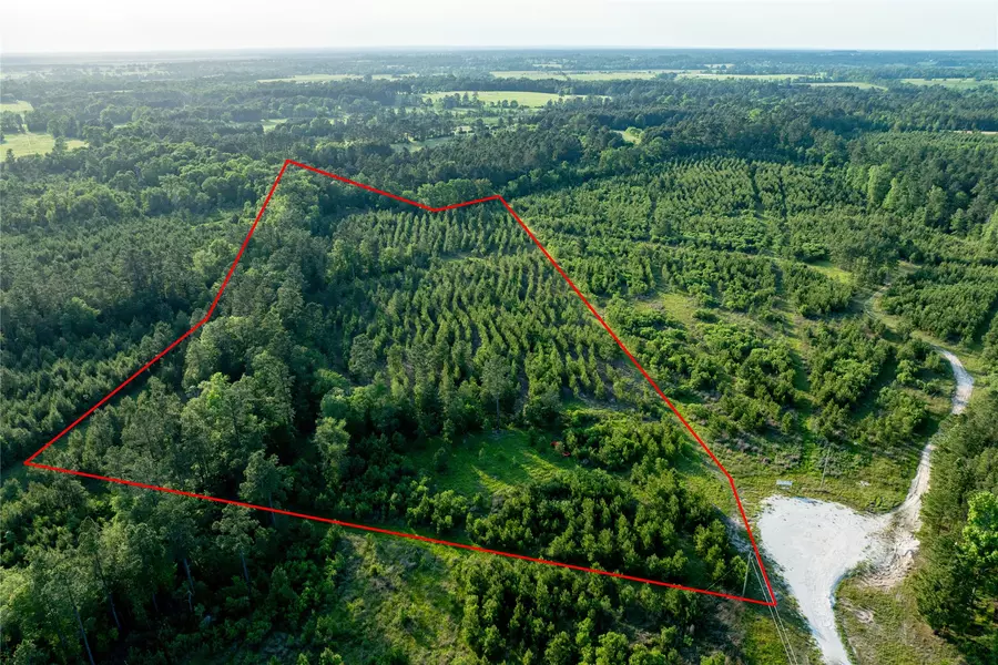 Tract 171 Calhoun CT, Lovelady, TX 75851