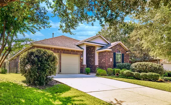 The Woodlands, TX 77354,166 Black Swan PL