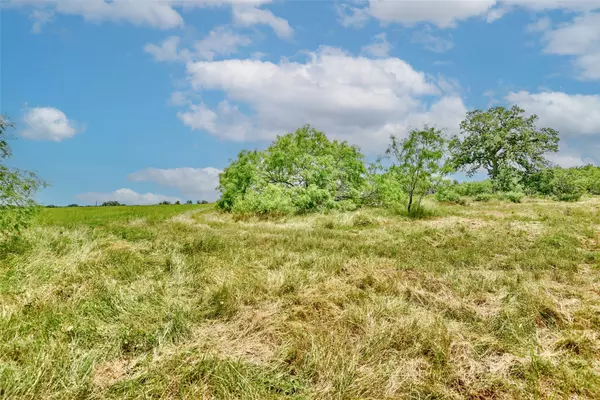 Red Rock, TX 78662,Lot 1-27 Starlight PATH