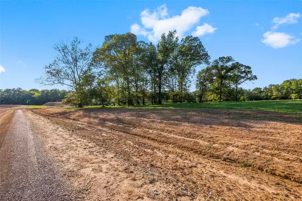 6015 Alans Memorial LN,  New Waverly,  TX 77358