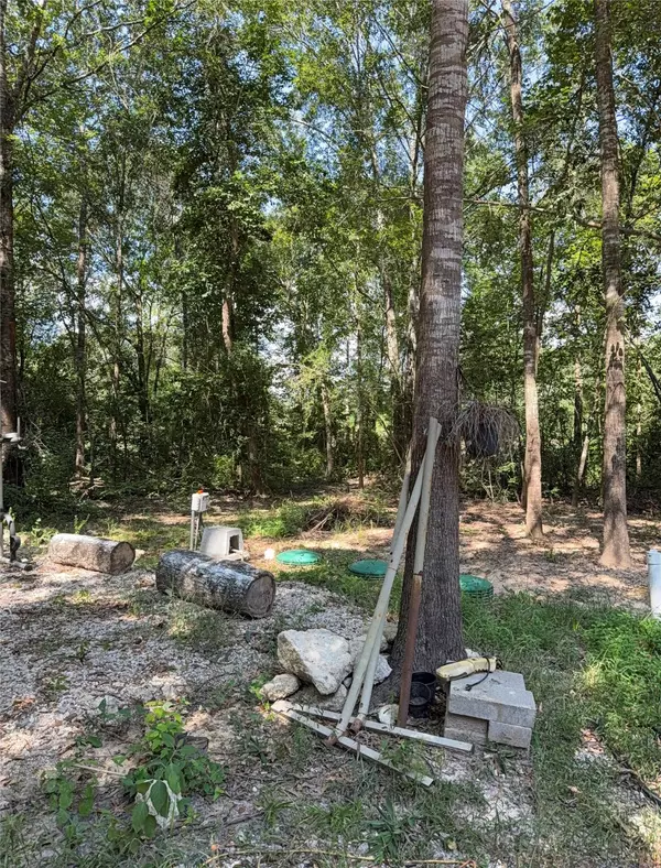 Cleveland, TX 77327,88 County Road 3295