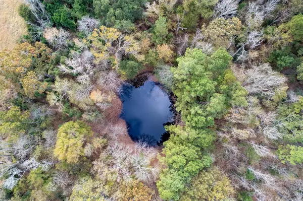 Elkhart, TX 75839,590 An County Road 169