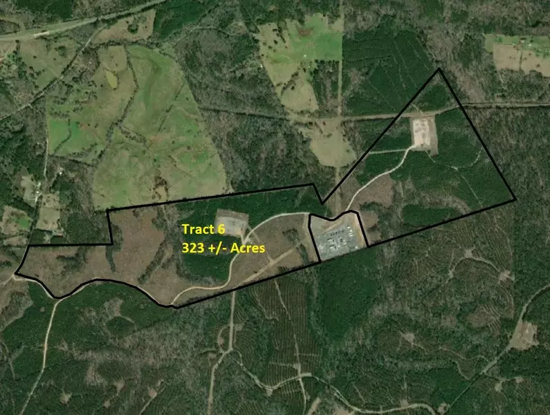 Tract 6 CR 255, San Augustine, TX 75972