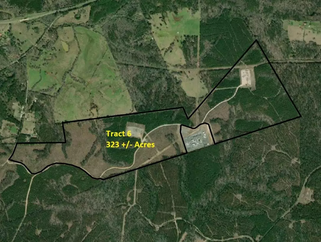 San Augustine, TX 75972,Tract 6 CR 255