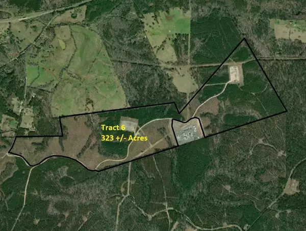 Tract 6 CR 255, San Augustine, TX 75972
