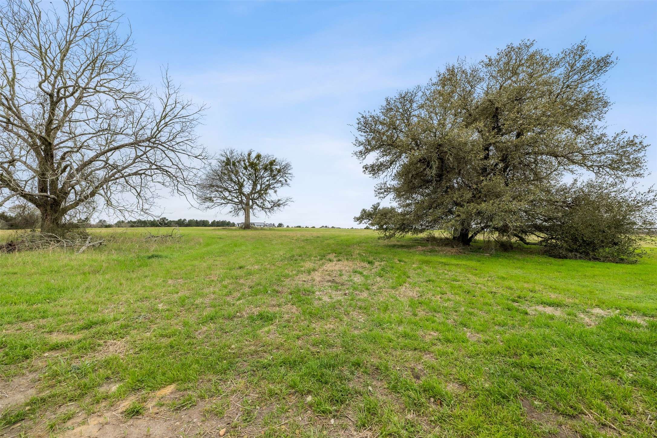 108 Turney TRCE, Round Top, TX 78954