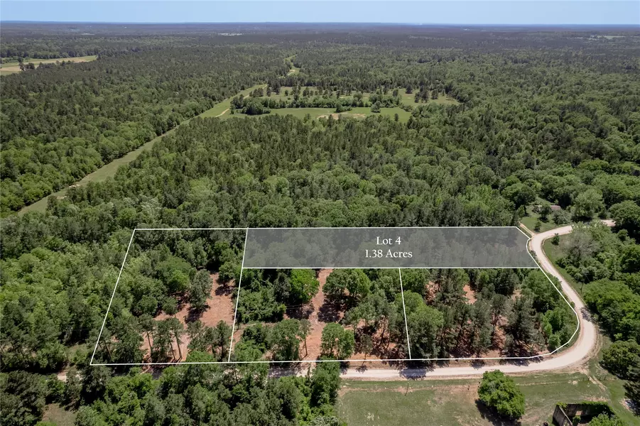 6077 00 CR 4200, Pennington, TX 75856