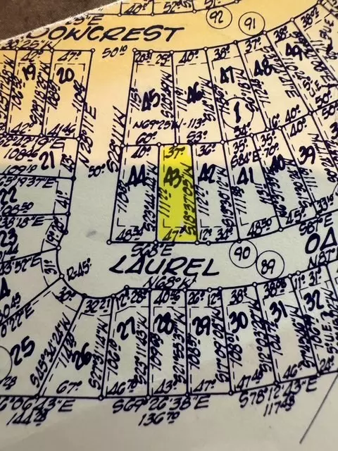 Trinity, TX 75862,TBD43 Laurel Oak