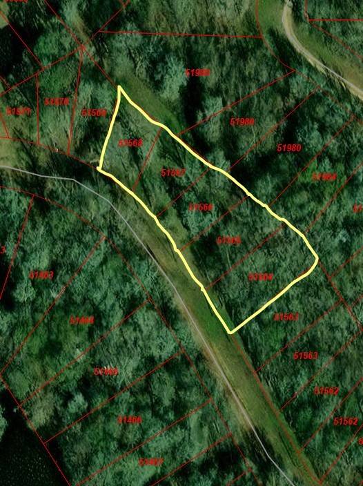 201 County Road 2870, Cleveland, TX 77327