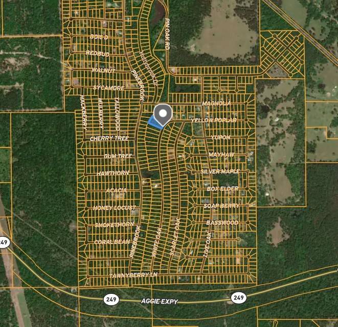 Plantersville, TX 77363,TBD White Oak Drive DR