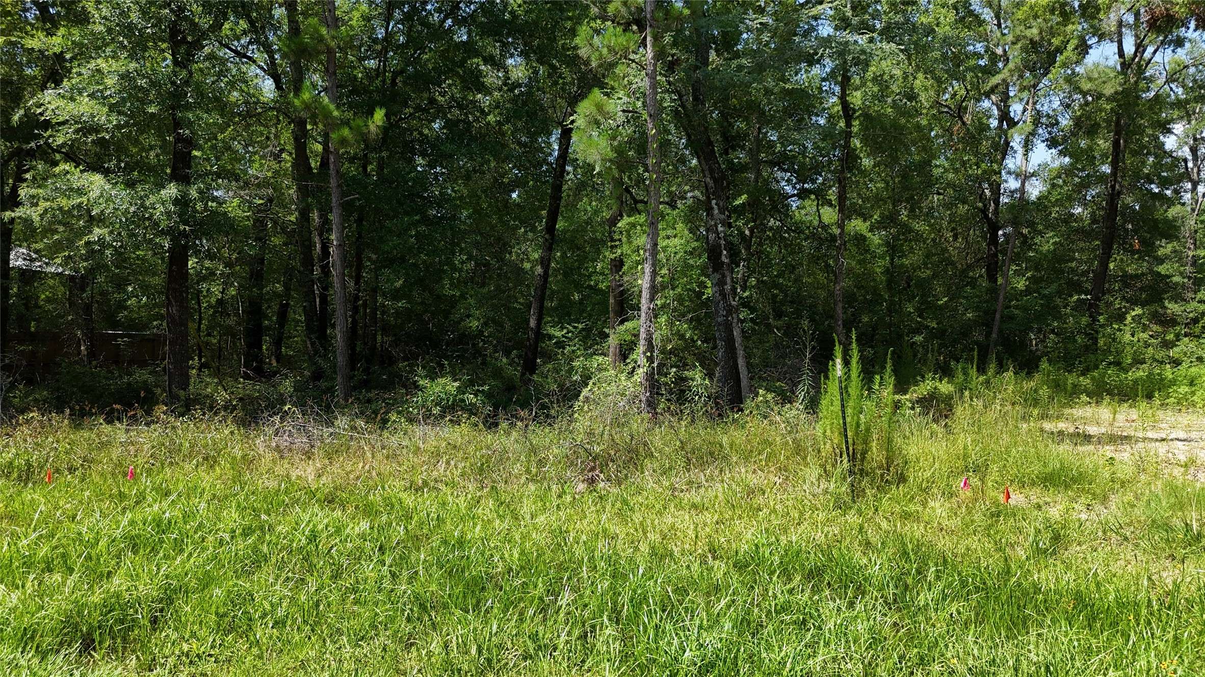 Livingston, TX 77351,00 Southland CIR