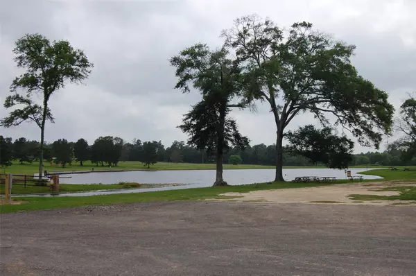 Willis, TX 77378,15674 Forest Grove DR