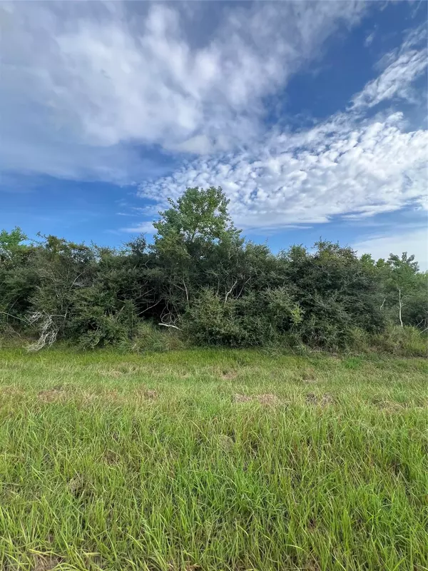 Bay City, TX 77457,00000 County Road 245 East AVE