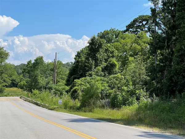 New Waverly, TX 77358,14-37-1 Dipping Vat RD