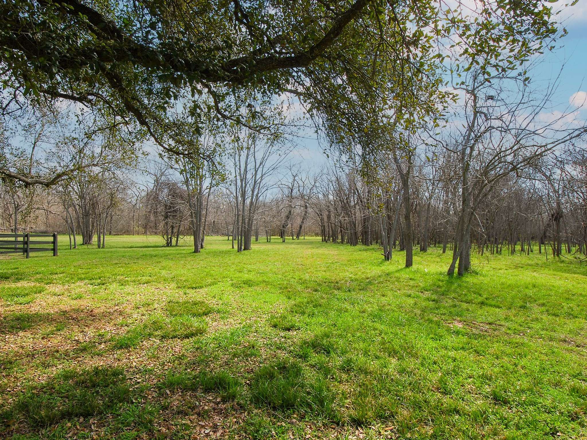 4402 Upper Oxbow TRCE, Fulshear, TX 77441