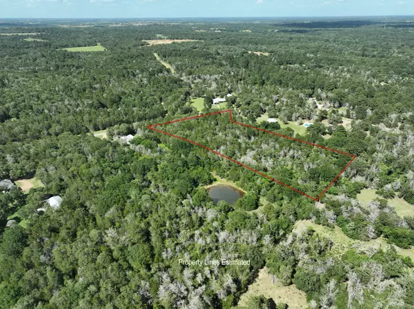 New Ulm, TX 78950,0000 Abel RD