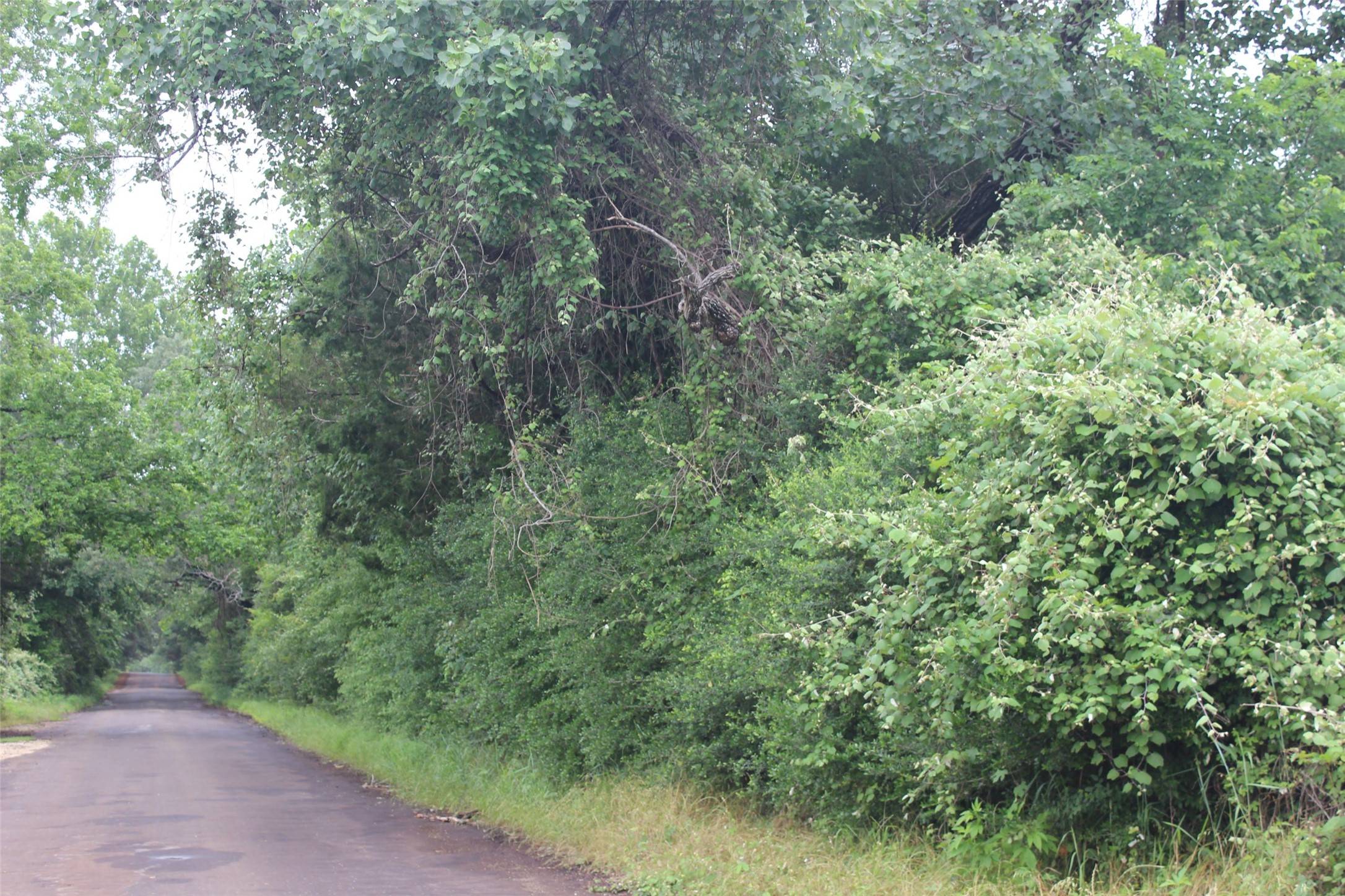 Centerville, TX 75833,298 Private Road 1350