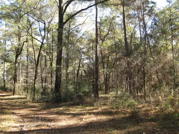0 TBD Beef Road, Groveton, TX 75845