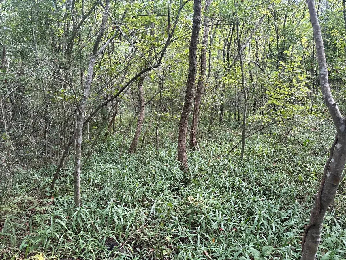 Hitchcock, TX 77563,00 Flakes Addition - Lot 4, 5, 6 of BLK 7