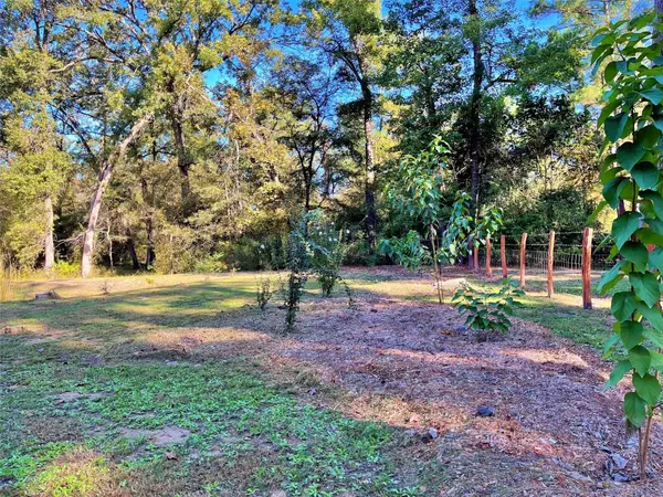 Centerville, TX 75833,8144 Private Road 1230