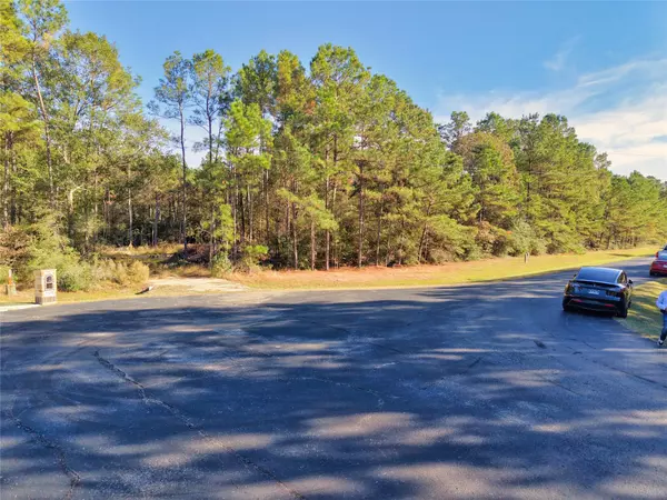 Waller, TX 77484,17539 Julianne DR