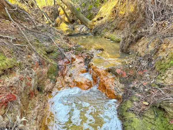 Centerville, TX 75833,5 ac Lassater Rd