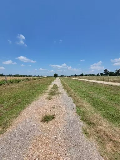 36677 TRACT 3A Brumlow RD, Hempstead, TX 77445