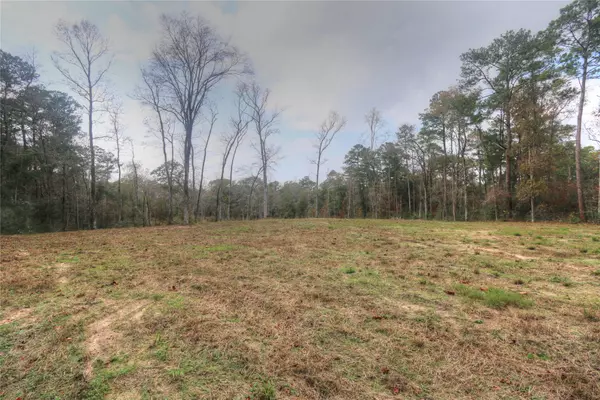 Magnolia, TX 77354,11 Riata
